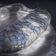 Image for article titled 2014 Winter Olympic Stadium Seems Designed By Insectoid Aliens
